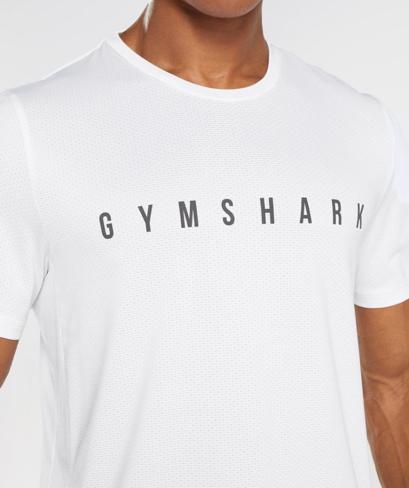 Koszulki Gymshark Sportowe Stripe Męskie Białe | PL 126TCF